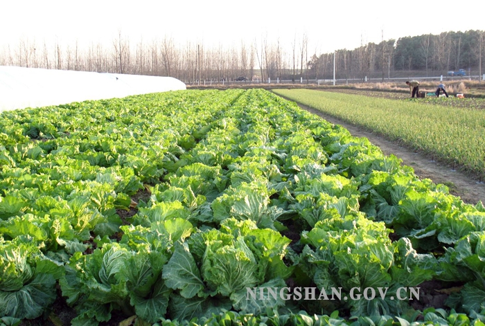 �޹����߲�ʩ�ʷ���