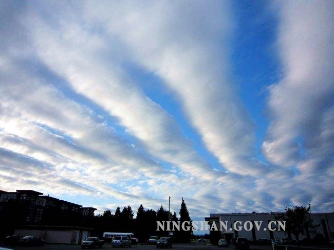 �������ơ������ڣ���Щ����ҥ�Բ�����