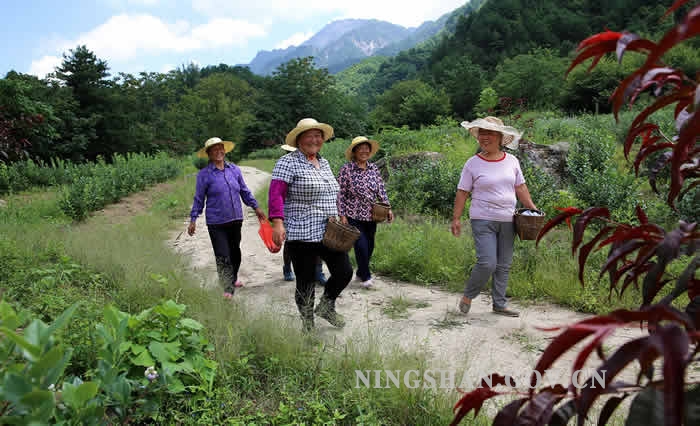 �����ߵ���ƶ���¡� ��Ӱ������Ʒѡ��(һ)