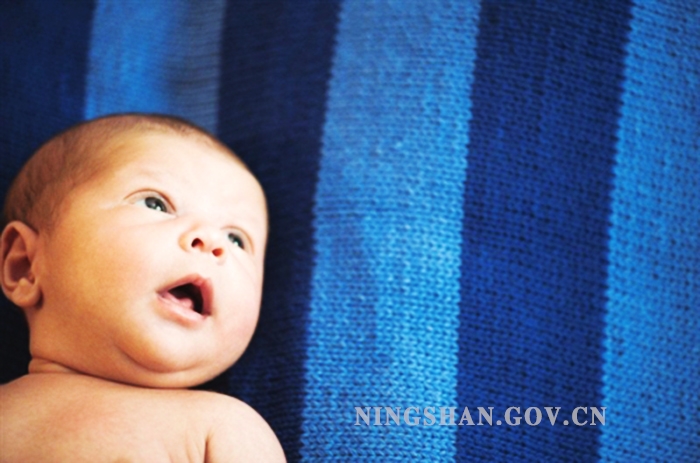 ������ӵ�����������